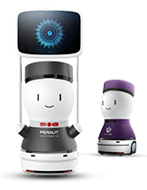 Guiding Robot Peanut